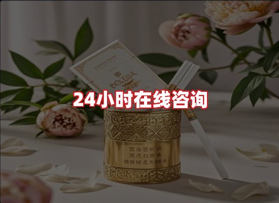 专业团队